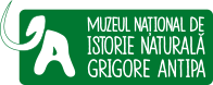 Muzeu National de Istorie Naturala Grigore Antipa